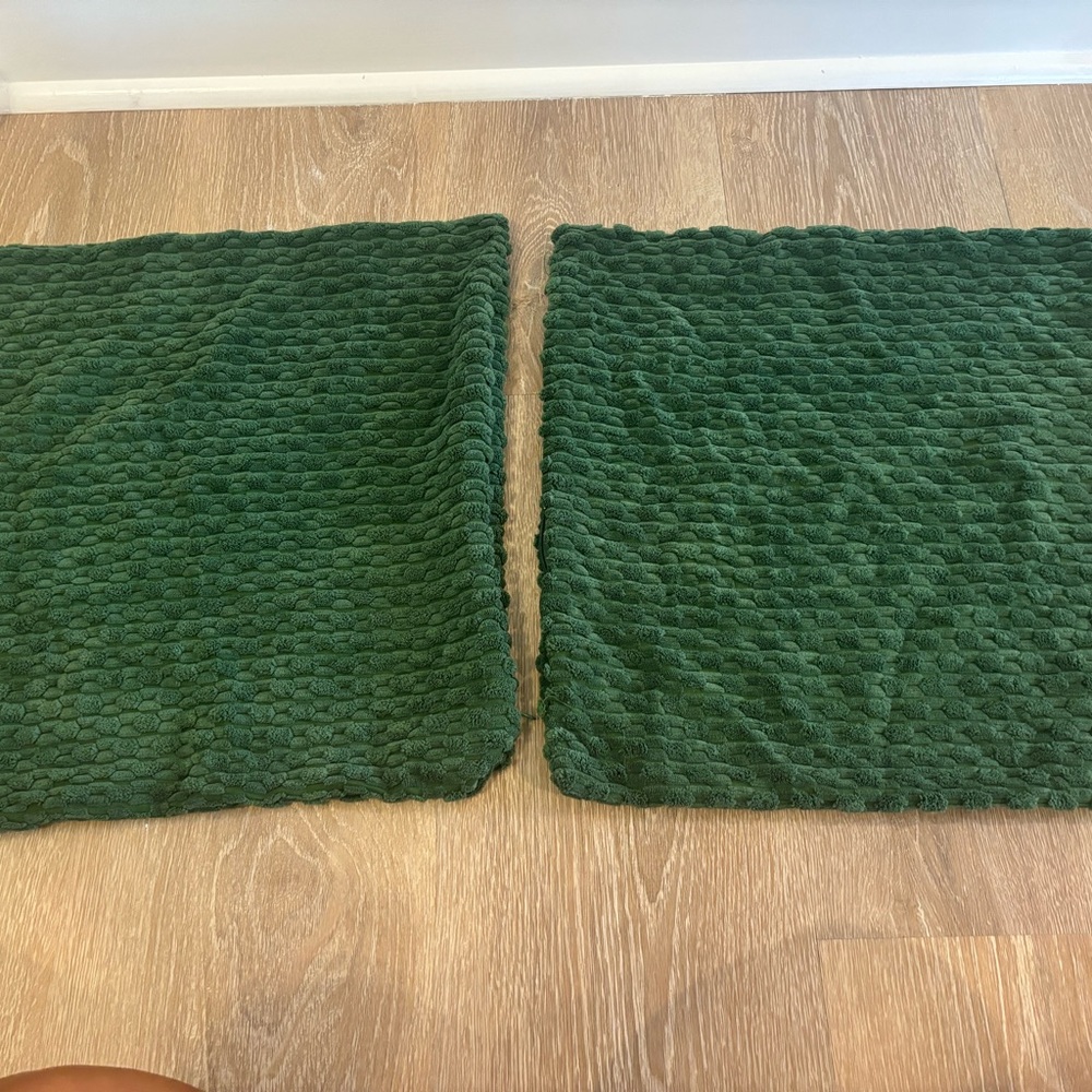 2 17x17 Pillow Cases